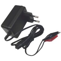Caricabatterie per batterie al piombo ermetiche 6V 1A con connettori a coccodrillo