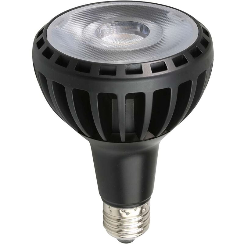 Ampoule LED PAR30 E27 30W équivalent 150W - Blanc du Jour 6000K