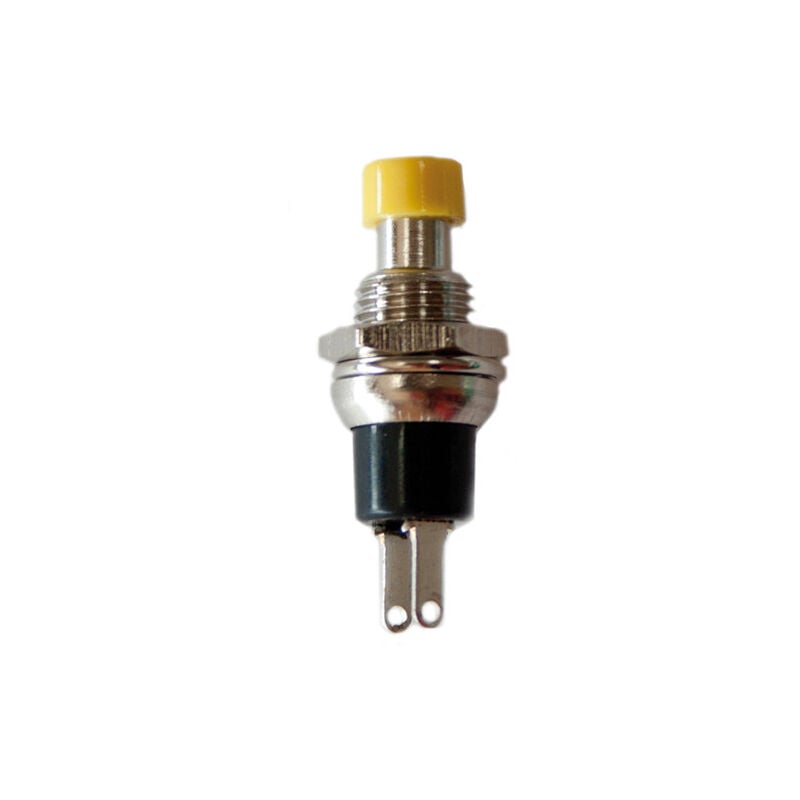 Bouton poussoir 1a 250v