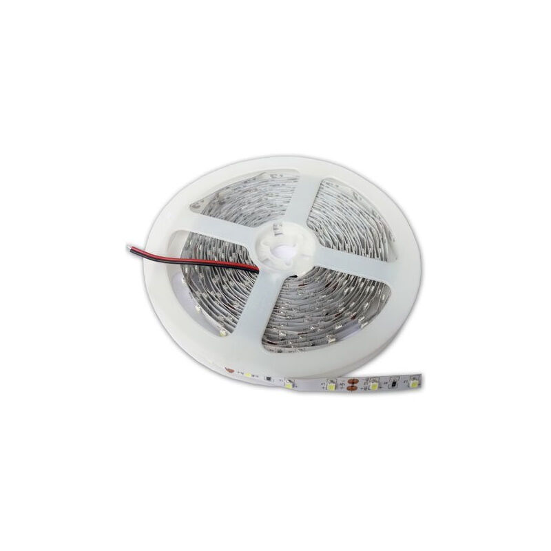Ruban LED 16W/m DC12V - RGBW