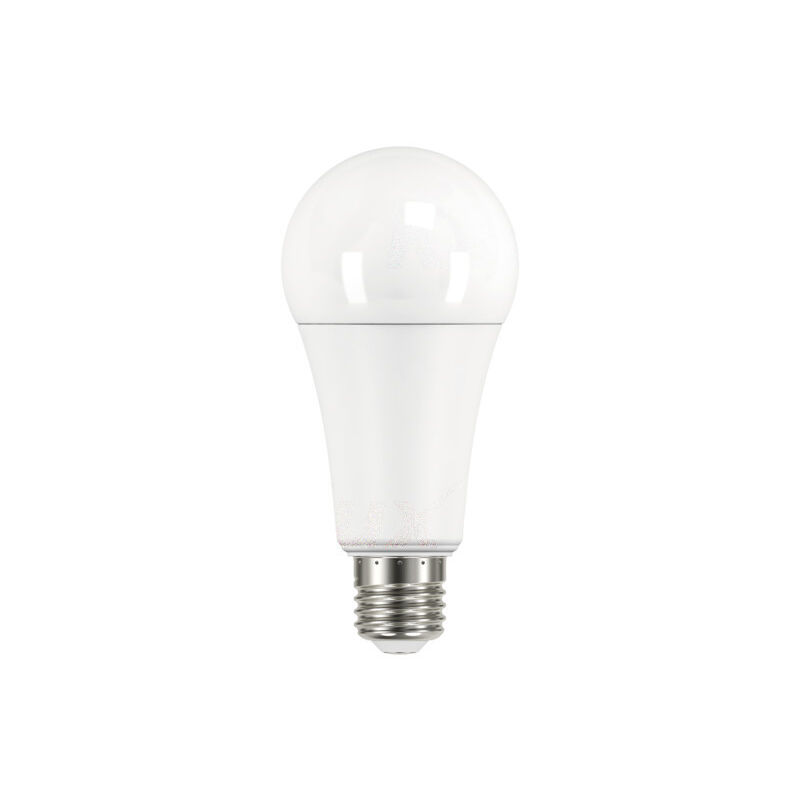 Ampoule LED G125 Opaque, culot E27, consommation de 20W pour une  équivalence de 150W, intensité lumineuse de 2452 lumens, lumièr