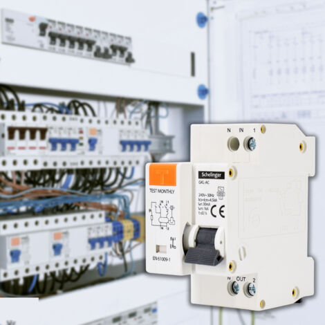 Interrupteur Différentiel 2 Pôles 16A 30mA Type AC - Protection Surcharge Et Fuite à La Terre