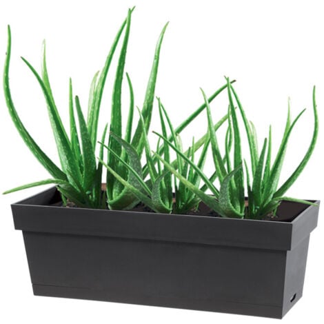 Jardinière Esprit Toscane + plateau EDA - 50 x 18 x 16,7 cm - Gris