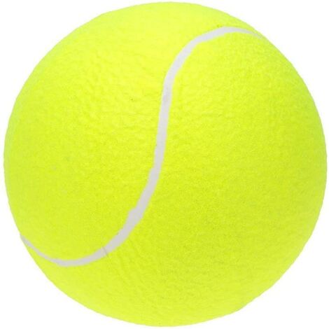 Balle de tennis : Un jouet ou un danger pour votre chien ?