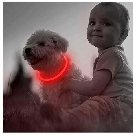 Collier pour chien LED rechargeable par USB pour la sécurité nocturne - Collier lumineux tendance pour chiens de petite, moyenne et grande taille (1 paquet, rouge, 50,8 cm) (1/5)
