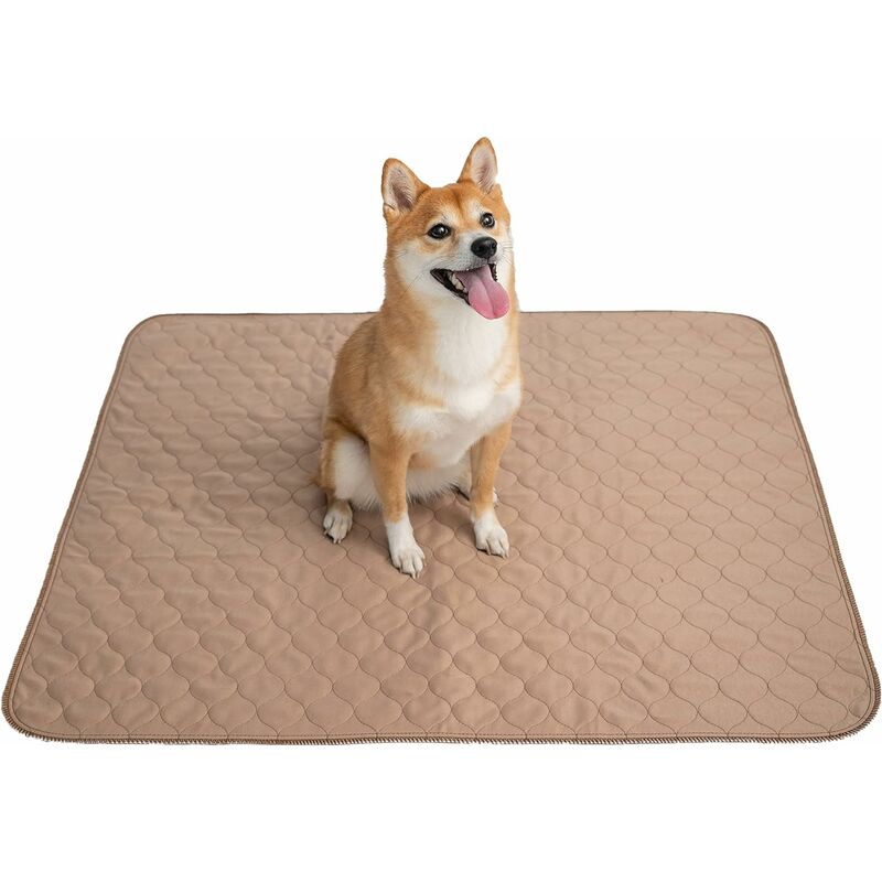 1 Piece Gray Bone Silicone Licking Mat Cat And Dog Slow Food Mat Absorbable  Pet Feeding Mat