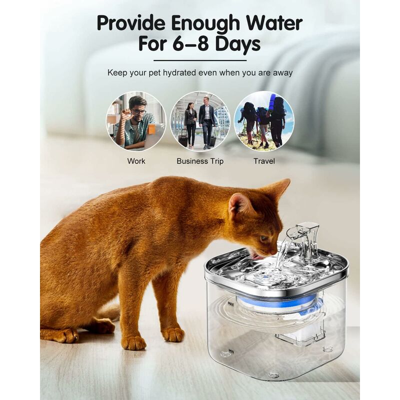 Filterless cat outlet water fountain