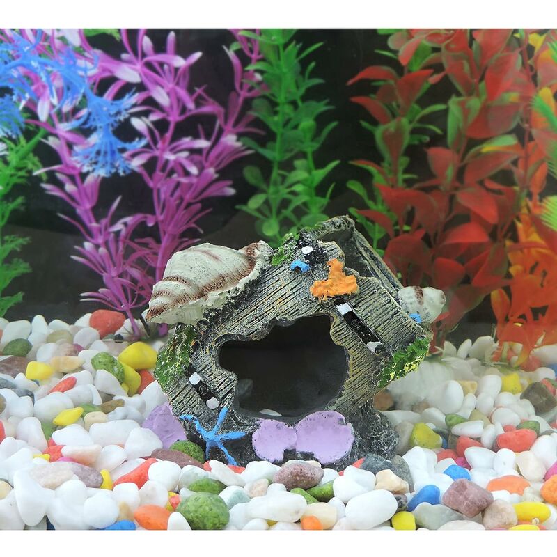 Fish tank decoration ideas using everyday items | The Asian Age Online,  Bangladesh
