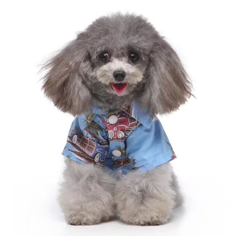 Luxury Pet Coat Autumn Designer Pet Clothes Teddy Poodle Jacket Dog Paw  Print Small Dog Clothes French Bulldog Fashion Hoodie