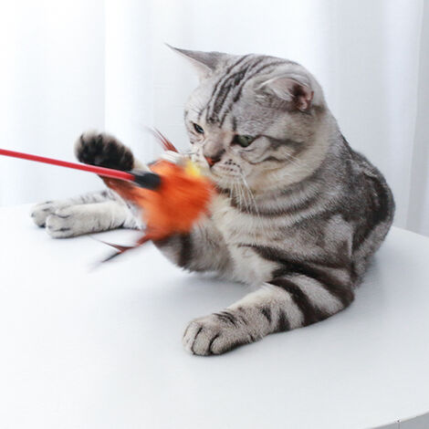 Interactive Cat Toys with Super Suction Cup Sticky Detachable Feather Bird  Cat Stick Toy for Indoor Cats Kitten Play Chase Exercise 