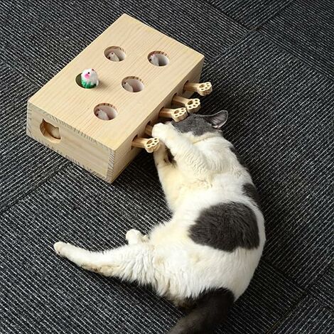 Cat Slow Feeder, Cat Hunting Game, Cat Hunting Toy, Cat Hunter Box,  Interactive Cat Toys, Smart Cat Toys, Modern Cat Toy, Unique Cat Toys 