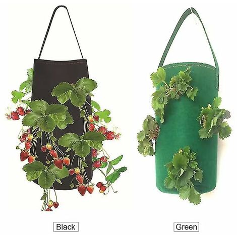 Strawberry bags hot sale