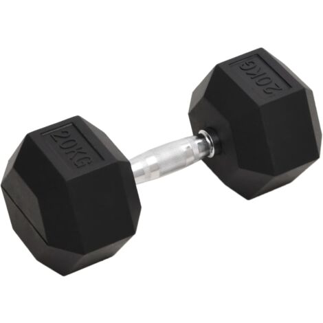 Kurzhantel 20 kg Gusseisen vidaXL