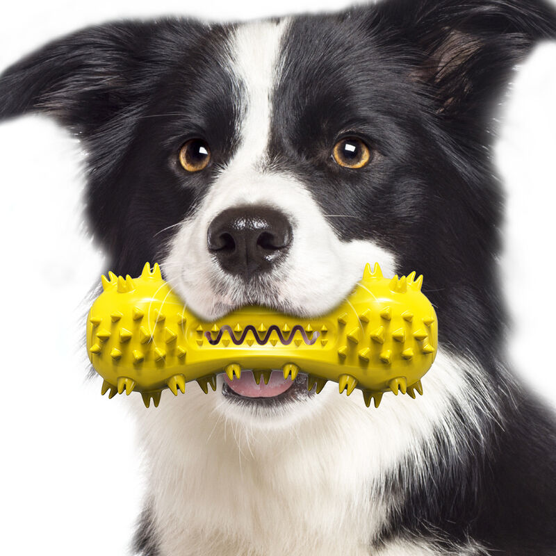 Juguetes para Perro de 12 Piezas- Juguete para Masticar, Juguete para  Perros Molar de Goma Duradero, Utilizado para Jugar, Limpiar Los Dientes,  Juego