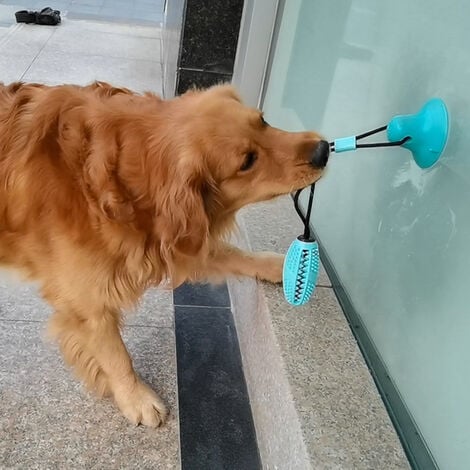 Juguetes Para Perros con ventosa, pelota interactiva para perros