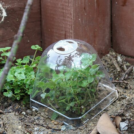 Película de plástico transparente para invernadero, cubierta de plantas de  jardín de polietileno para jardinería, planta agrícola, resistente a la