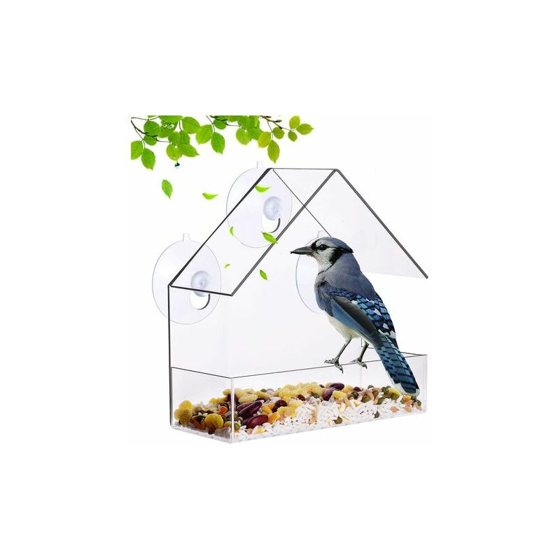 Bird Feeders Squirrel Proof With Strong Suction Cups Clear Window Bird  Feeder With Strong Suction Cups Bird Feeding Stations For The Garden Heavy  Duty