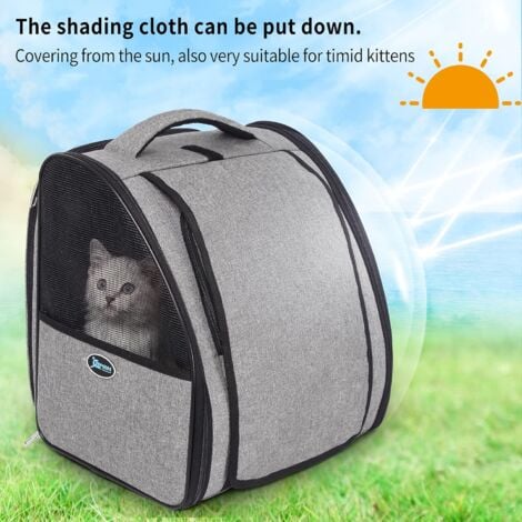 Cat sales hiking backpack