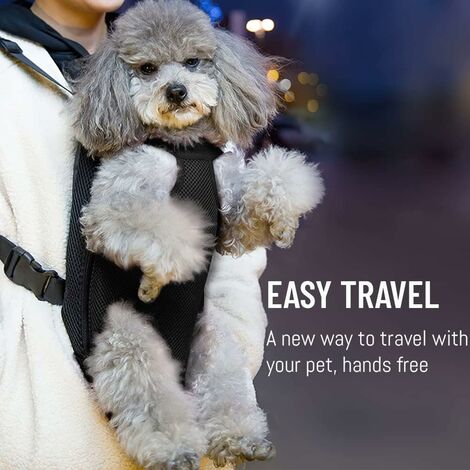 Small pet front carrier sales