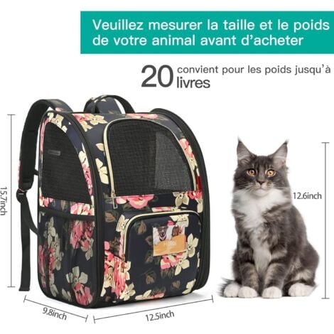 Cat backpack best sale carrier hiking