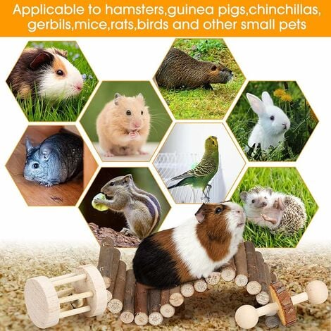 Hamster Chew Toy Set, Small Animals, Molar Toys, Teeth Care