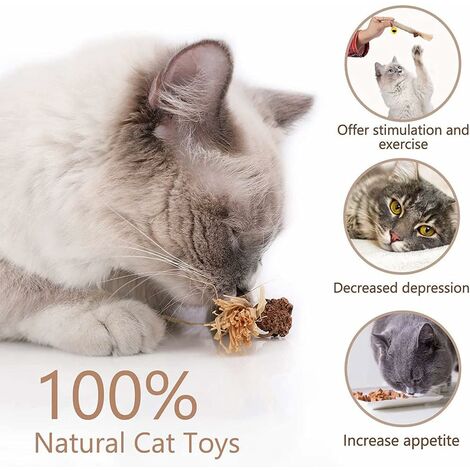 4PCS Matatabi Cat Chew Sticks, Catnip Sticks, Catnip Sticks, Cat Grass Stick, Cat Molar Interactive Stick, Catnip Toys Sticks, Cat Toy Stick, Cat Stick
