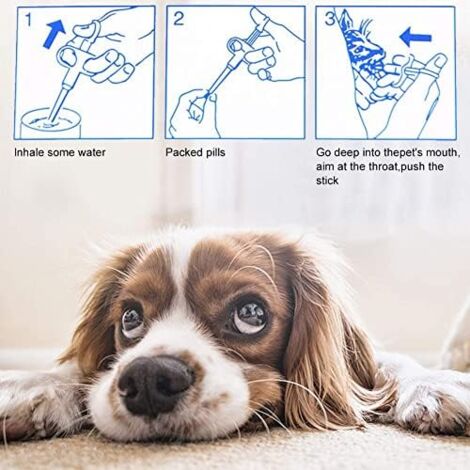 Dispenser Pillole Per Animali WeddHuis - 2 Pezzi Con 4 Punte Morbide, Per Gatti E Cani - Foto 9