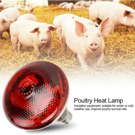 Explosion-Proof Household Heating Bulb Lamp - View #4
