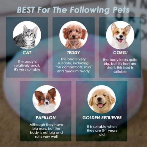 Round Cushion 50cm Pet Bed Cat Cushion Cat Basket Dog Bed Round Dog Cat Bed Basket Donut Soft Soothing Dog Bed Cat Cushion Cat Basket, Colorful Multicolor