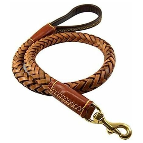 Long leash hotsell for large dog