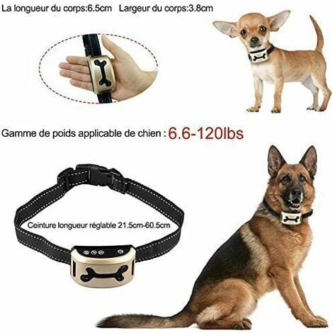 Mini dog outlet training collar