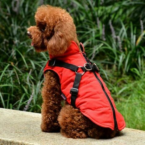 Medium dog raincoat sale