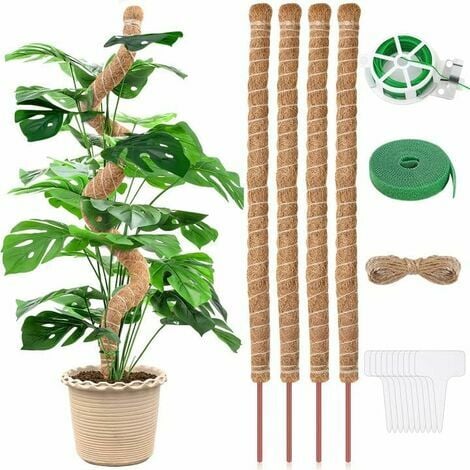 GARDENERA Moss Pole for Plants Monstera (Pack of 10) - 12 Coco Coir P –