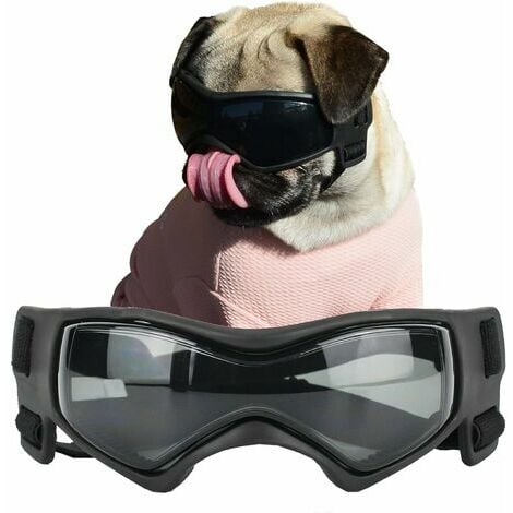 Sunglasses for hot sale little dogs