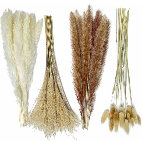 Dried Reeds Natural Dried Plants Bunch Small Pampas Grass DIY Wedding  Bouquet Arrangement Flower Home Room Table Decoration