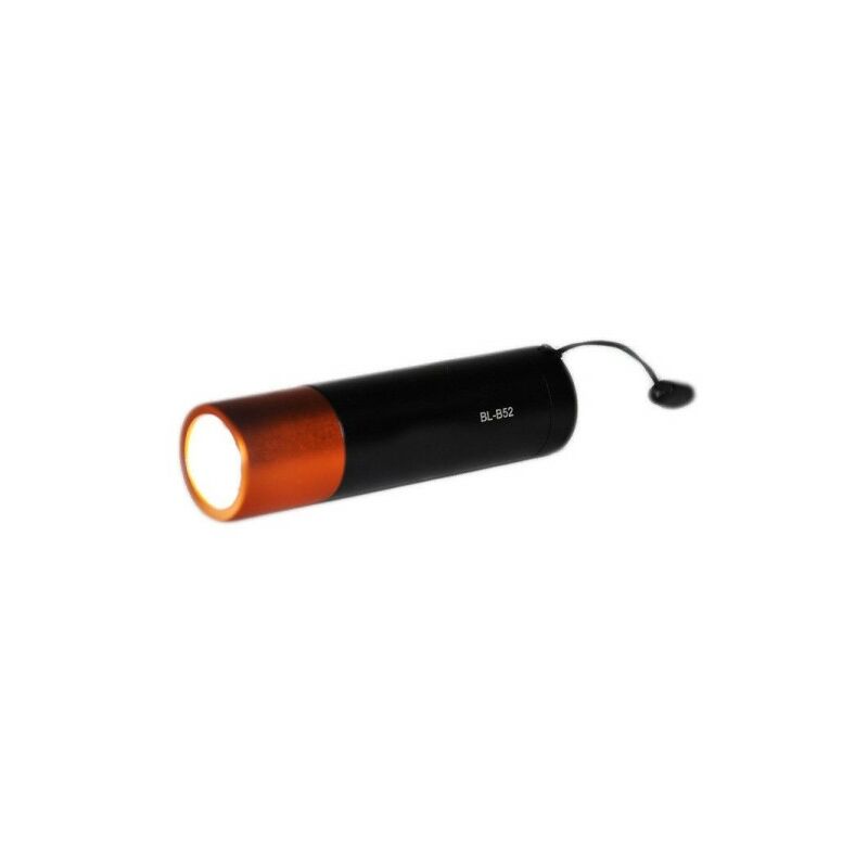 Pointeur laser Lampe de porche Lampe Stylo Laser USB 532nm noir
