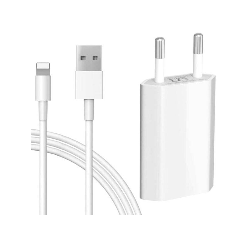 Pack chargeur secteur 1A 1 Port USB 5W + 1 Câble Lightning pour