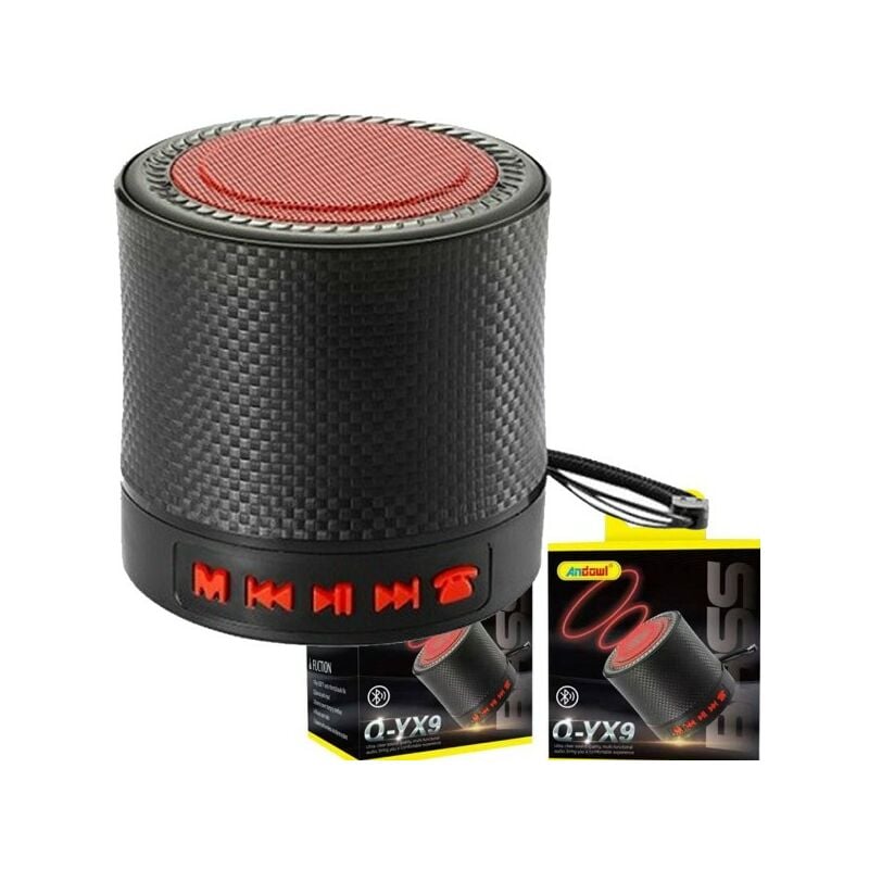1 Portable Sans Fil Rétro Haut-parleur Avec RGB Lampe Effet , 2 (Sans fil) Micro  Karaoké , Karaoké machine, Mode en ligne