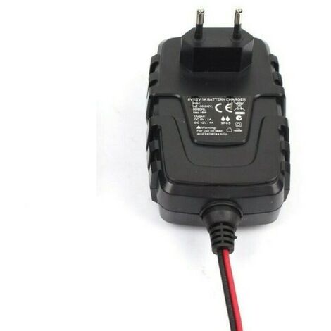 Chargeur de batterie voiture 75W