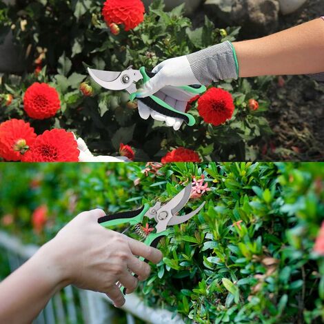 Sécateur De Jardin - Ciseaux à Branches Avec Poignée Verrouillable Antidérapante - Pour Taille Et Élagage