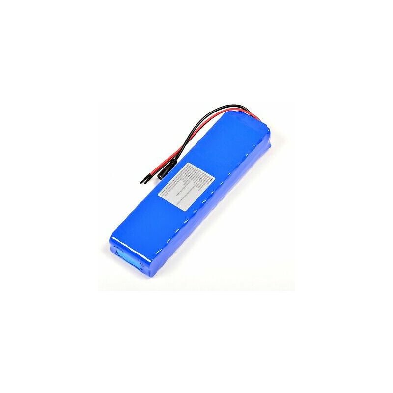 PACCO BATTERIA PILA 24V 10000mAh 10Ah RICARICABILE AL LITIO E-BIKE EBIKE  F3C4