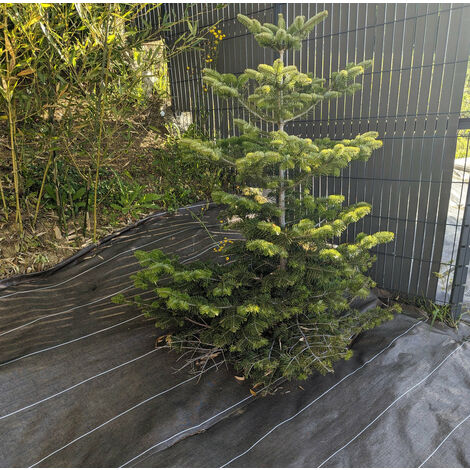 Longueur 40m / Largeur 5,15m / Coloris Marron / 130gr/m2 (1/3)