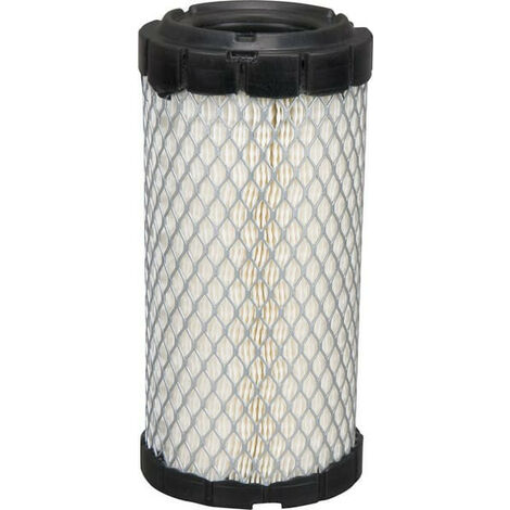 Filtre à air Briggs et Stratton - 820263 (1/2)