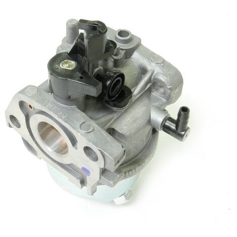 Castelgarden – Carburateur moteur GGP pour tondeuse – Pièce d'origine – Compatible avec modèles RS100 et RV100 – Référence 118550697/0 (1/5)