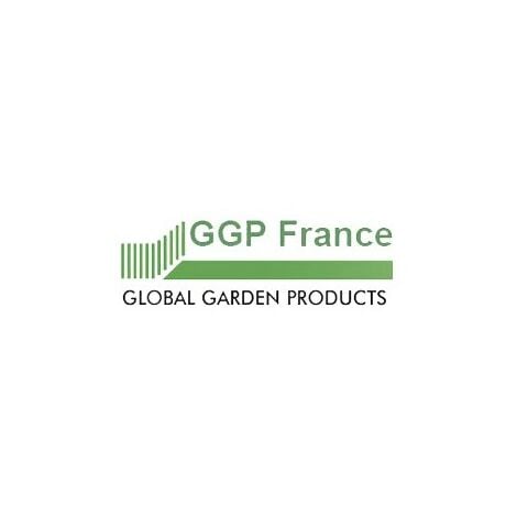 Huile Transmission Sae 5W-40 4 Lt - Ggp - 1111-9241-01