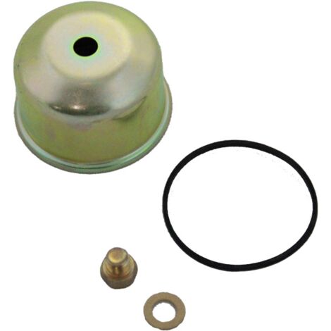 Cuve à Flotteur De Carburateur Pour Tondeuse à Gazon - Compatible Briggs & Stratton 495933, 494378, 693614