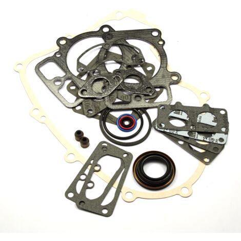 Kit joints moteur BRIGGS ET STRATTON 499889 - 694012