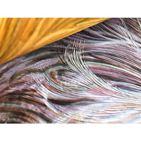 Papier peint exclusif Profhome 822205 papier peint vinyle gaufré avec des plumes brillant pourpre vieux-rose jaune or argent 5,33 m2