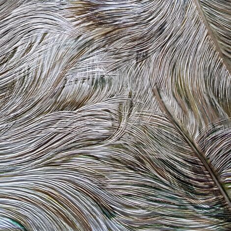 Papier peint exclusif Profhome 822202 papier peint vinyle gaufré avec des plumes brillant olive or brun vert blanc 5,33 m2