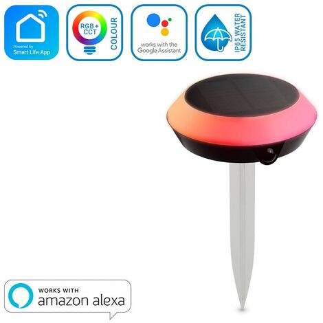 Luce Solare Giardino Gufo Lampada Solare Da Giardino A Forma Di Gufo O Uccellino - Ornamento Illuminato A Energia Solare Illuminazione Giardino A Energia Solare - Foto 7